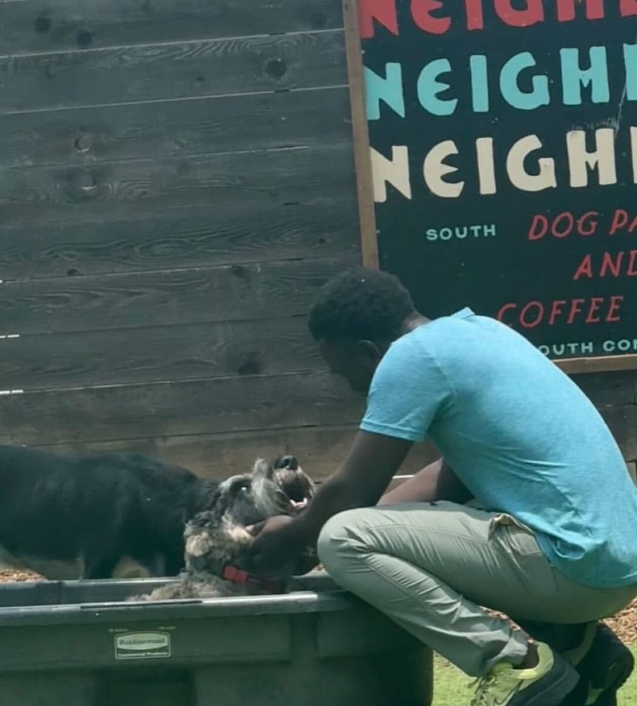 Mussa volunteering and caring for dogs in the community